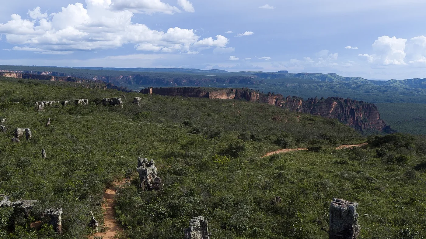 The green plateau and sandstone escarpments of Chapada dos Guimarães