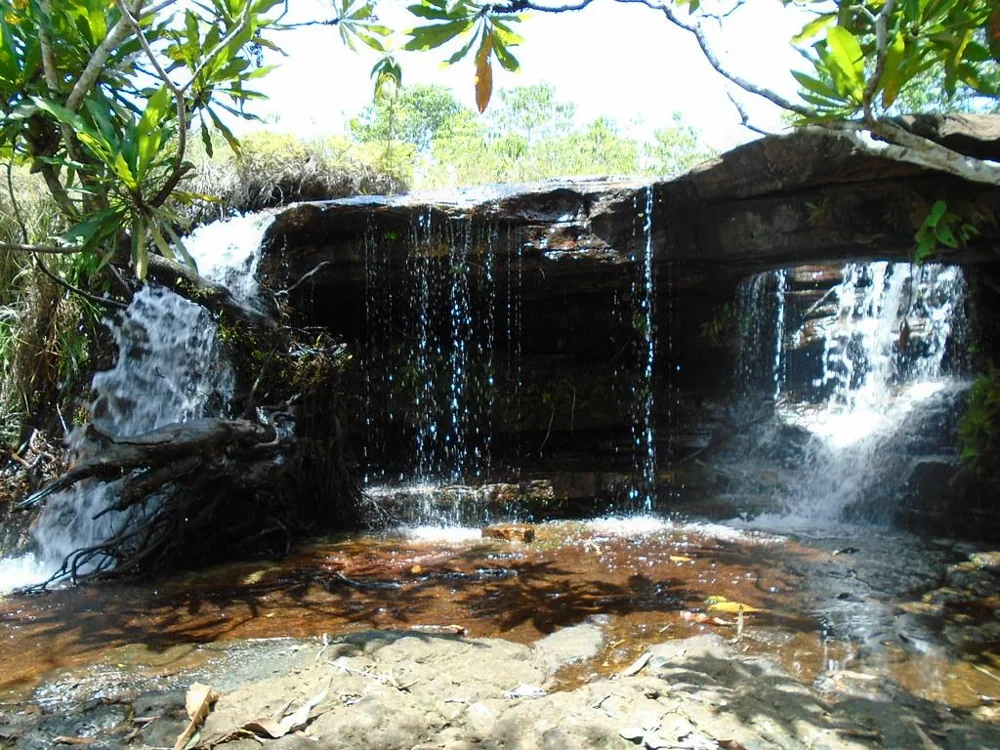 Waterfalls flowing into a pool among Cerrado trees and rocks
